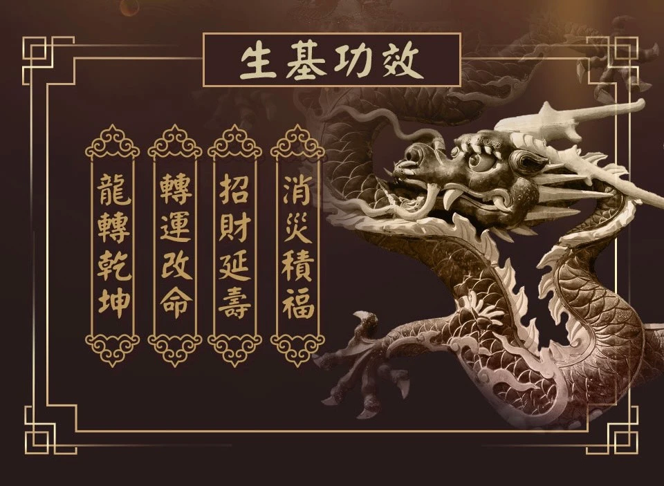 什麼是造生基