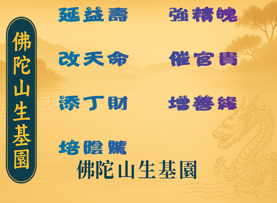 七大效益
